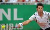 Secondo gli utenti di Livetennis Andreas Seppi e Simone Bolelli devono scendere in campo contro la Slovacchia