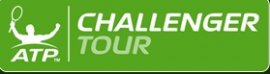 La stagione 2010 del Pro Challenger