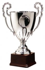 Chi sarà il vincitore del gioco Pro Challenger 2009?