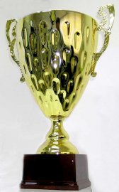Chi sarà il vincitore del Veggente 2009?
