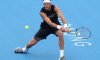 ATP San Jose: Entry list. Del Potro sfrutta anche qui il ranking protetto. Si rivede Haas. Paolo Lorenzi fuori di 18 posti