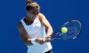 Us Open: Sara Errani si impone in due sofferti set su Tathiana Garbin