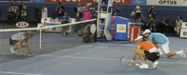I big del tennis mondiale per l'esibizione in favore della popolazione di Haiti