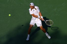 David Ferrer classe 1982, n.17 del mondo