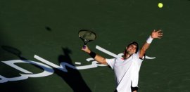 David Ferrer classe 1982, n.17 del mondo