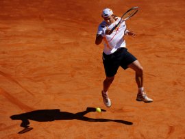 David Ferrer classe 1982, n.17 del mondo