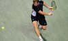Tre coach italiani hanno portato al vertice del tennis mondiale (o nei top 50), Ivan Ljubicic, Andrei Golubev e Michael Berrer