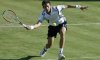 Nicolas Mahut si fa male nuovamente alla caviglia. Il francese salta la trasferta australiana