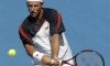 David Nalbandian colpito da un virus dà forfait in Coppa Davis