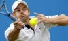 ATP Basilea: Il Tabellone Principale. Ci sono Federer, Djokovic, Berdych e Roddick