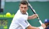 Wimbledon: Hanescu sputa sul pubblico, rischia una multa di 10.000$