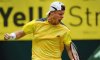 ATP Halle, Queen’s: Dopo 7 anni, Lleyton Hewitt batte Roger Federer e trionfa nel torneo tedesco. A Londra, Sam Querry fa suo il titolo
